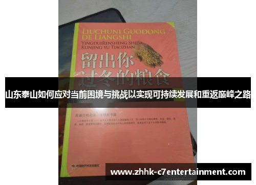 山东泰山如何应对当前困境与挑战以实现可持续发展和重返巅峰之路