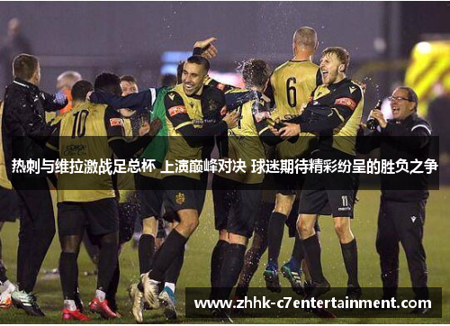 热刺与维拉激战足总杯 上演巅峰对决 球迷期待精彩纷呈的胜负之争