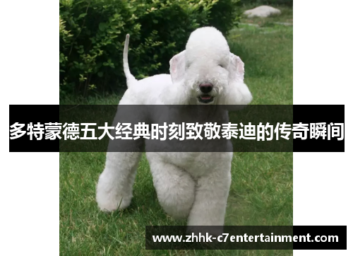 多特蒙德五大经典时刻致敬泰迪的传奇瞬间