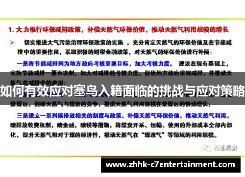 如何有效应对塞鸟入籍面临的挑战与应对策略