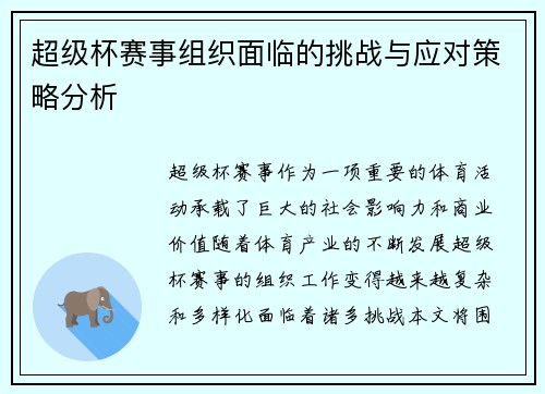 超级杯赛事组织面临的挑战与应对策略分析