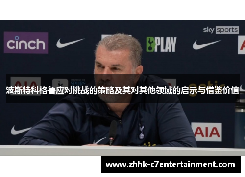 波斯特科格鲁应对挑战的策略及其对其他领域的启示与借鉴价值