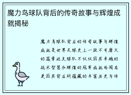 魔力鸟球队背后的传奇故事与辉煌成就揭秘